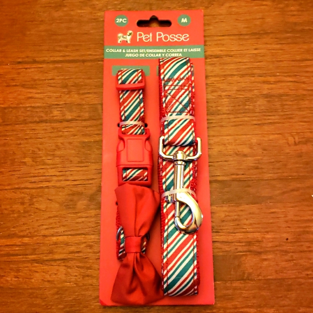 Dog collar and leash set - Medium